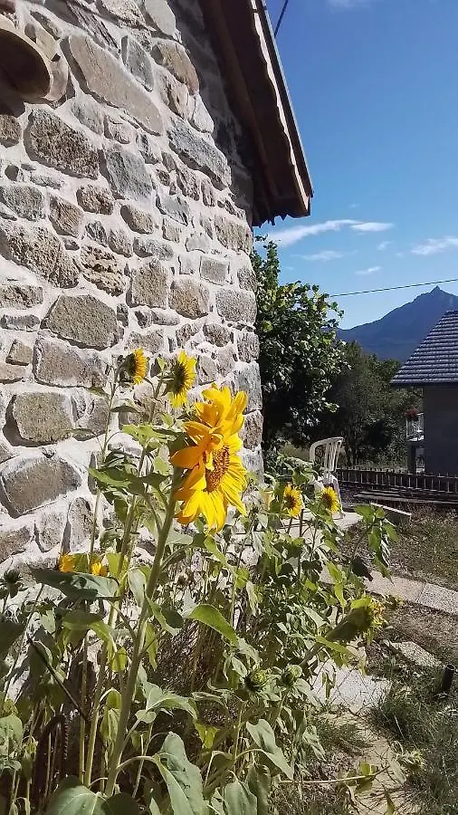 Villa Le Petit Grenier à Saint-Bonnet-en-Champsaur